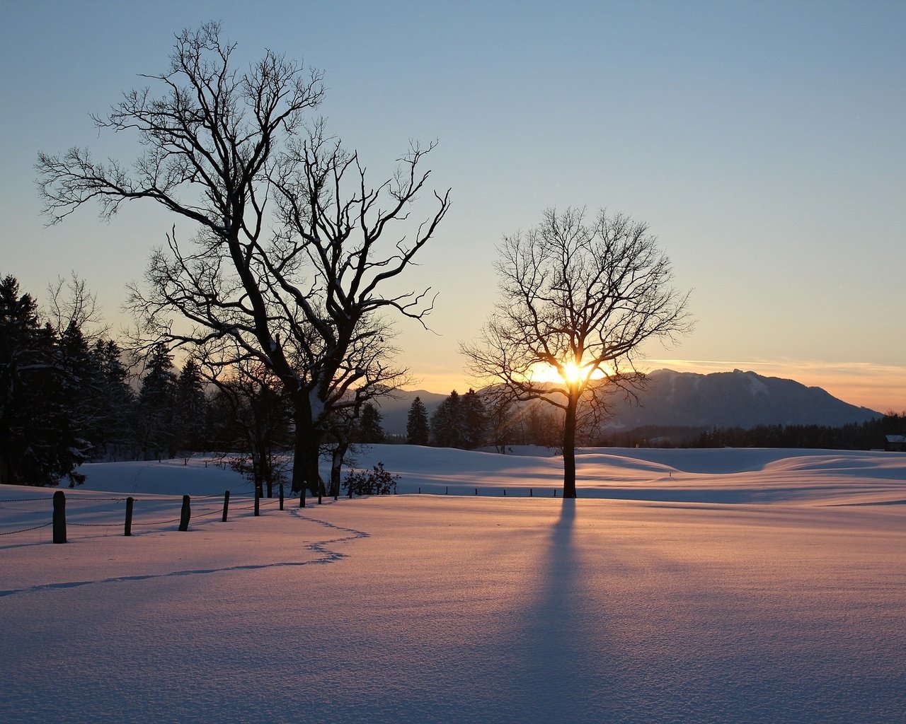 Обои небо, деревья, природа, закат, зима, the sky, trees, nature, sunset, winter разрешение 2074x1382 Загрузить