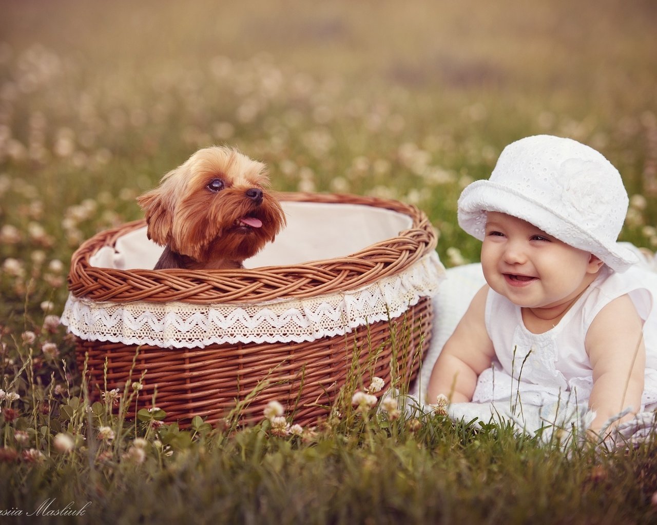 Обои собака, девочка, корзина, ребенок, dog, girl, basket, child разрешение 2000x1306 Загрузить