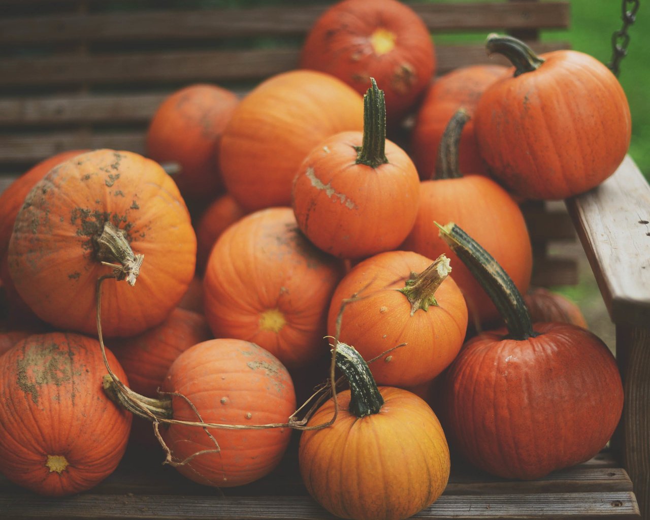 Обои скамейка, урожай, овощи, тыква, bench, harvest, vegetables, pumpkin разрешение 3008x2008 Загрузить