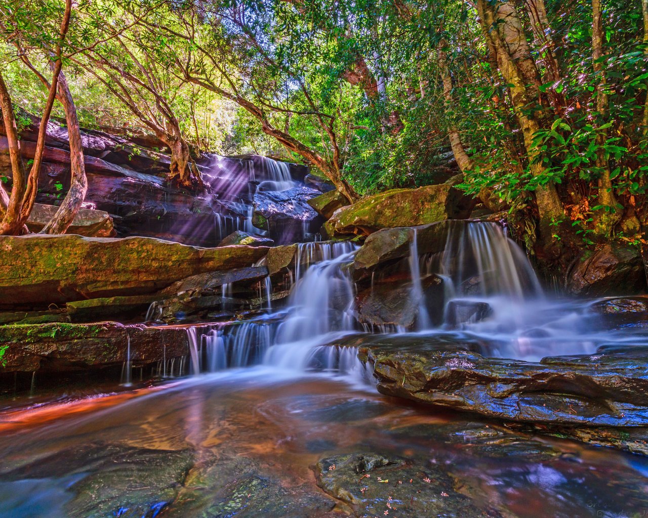 Обои деревья, природа, пейзаж, водопад, поток, trees, nature, landscape, waterfall, stream разрешение 6000x4000 Загрузить