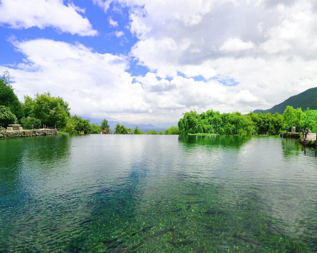 Обои небо, деревья, вода, пейзаж, the sky, trees, water, landscape разрешение 1920x1200 Загрузить