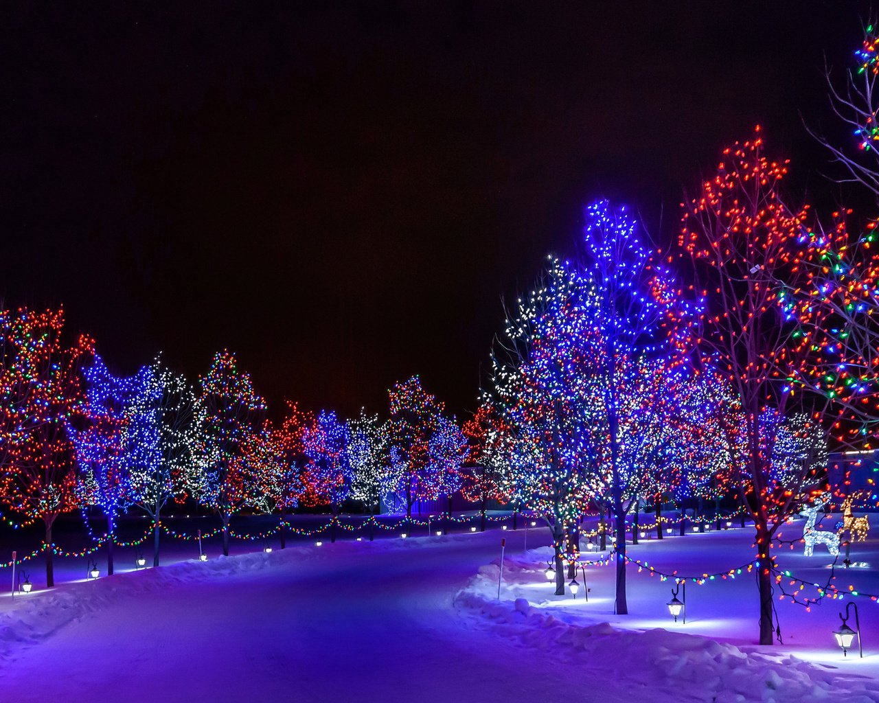 Обои дорога, ночь, деревья, снег, парк, иллюминация, город, road, night, trees, snow, park, illumination, the city разрешение 1920x1200 Загрузить