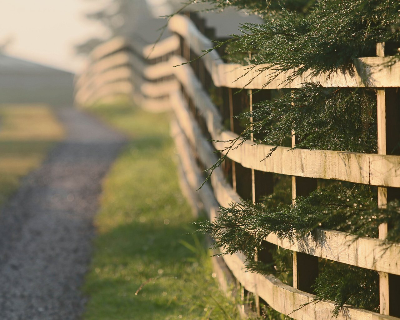 Обои дорога, природа, утро, забор, road, nature, morning, the fence разрешение 2048x1365 Загрузить