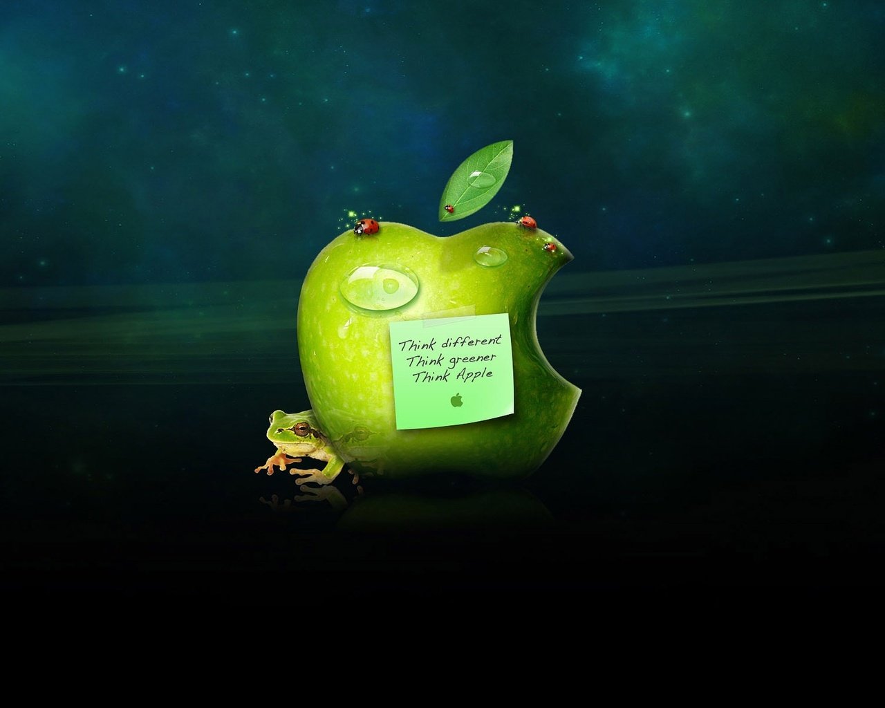 Обои капли, лягушка, яблоко, стикер, эппл, drops, frog, apple, sticker разрешение 2560x1600 Загрузить