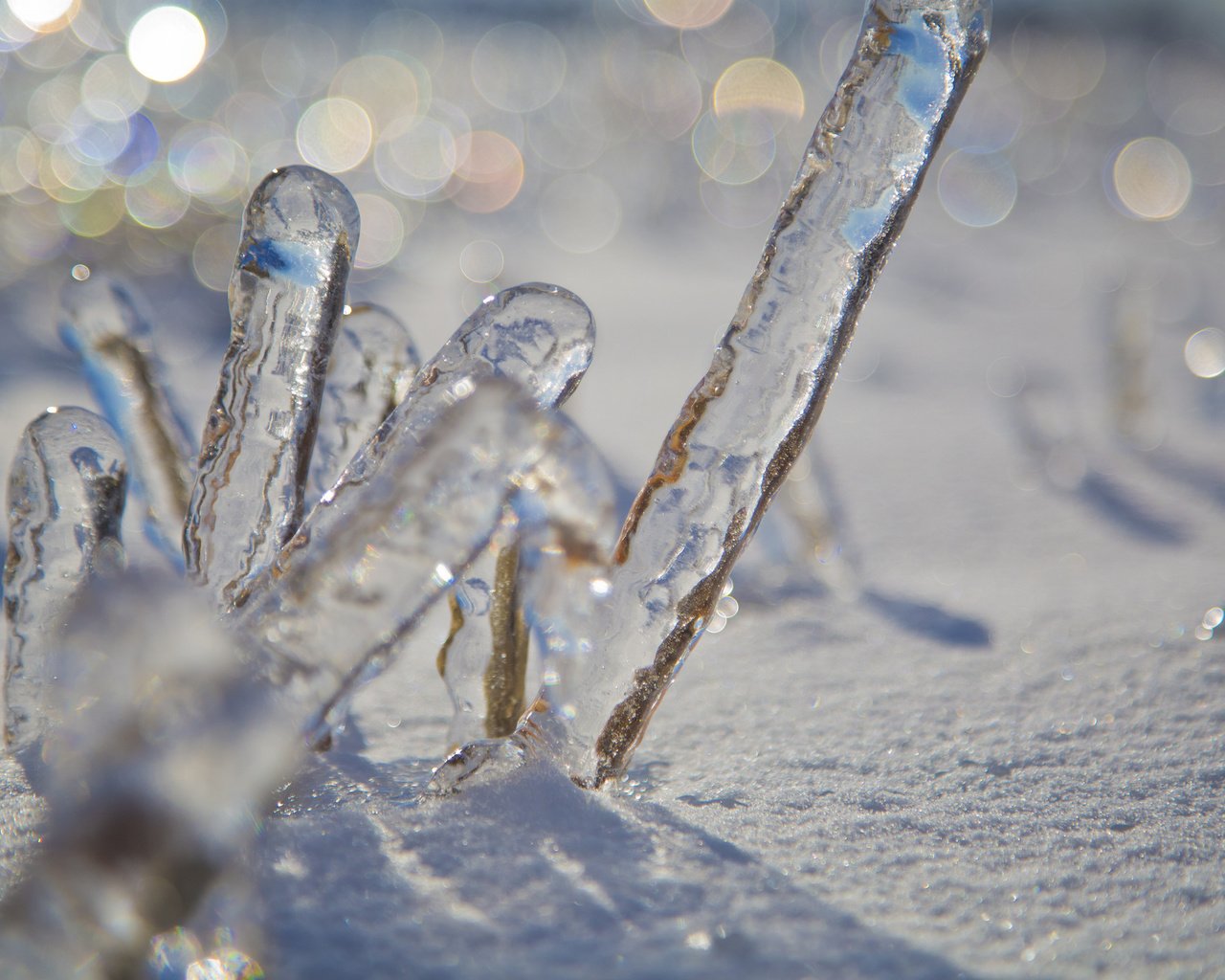 Обои снег, зима, макро, лёд, боке, snow, winter, macro, ice, bokeh разрешение 2048x1365 Загрузить