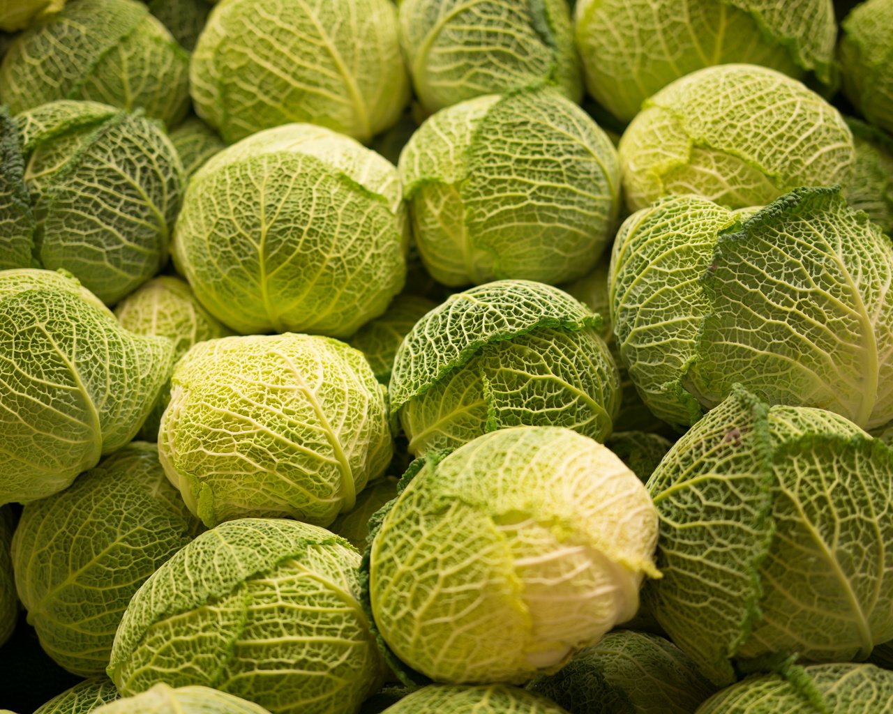 Обои фон, овощи, капуста, background, vegetables, cabbage разрешение 2560x1710 Загрузить