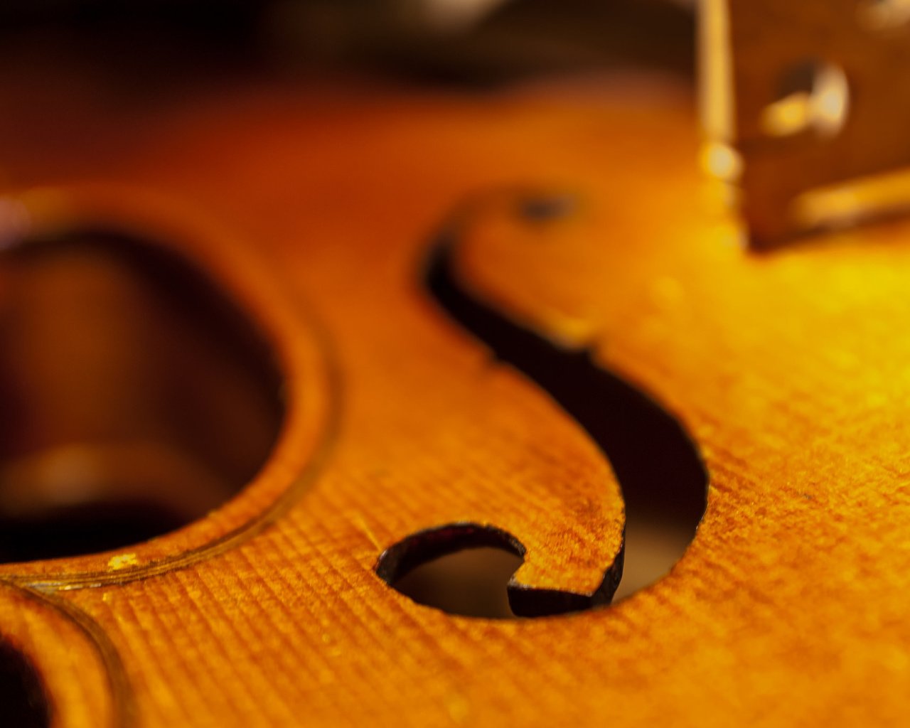 Обои макро, скрипка, музыка, виолончель, дека, macro, violin, music, cello, deca разрешение 2048x1371 Загрузить