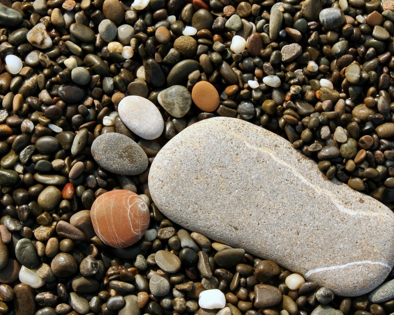 Обои камни, галька, нога, след, ступня, stones, pebbles, leg, trail, foot разрешение 2560x1600 Загрузить