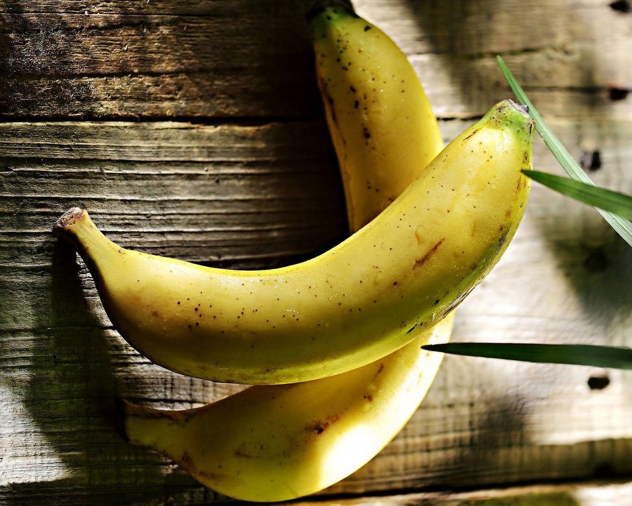 Обои фон, фрукты, банан, бананы, background, fruit, banana, bananas разрешение 1920x1280 Загрузить