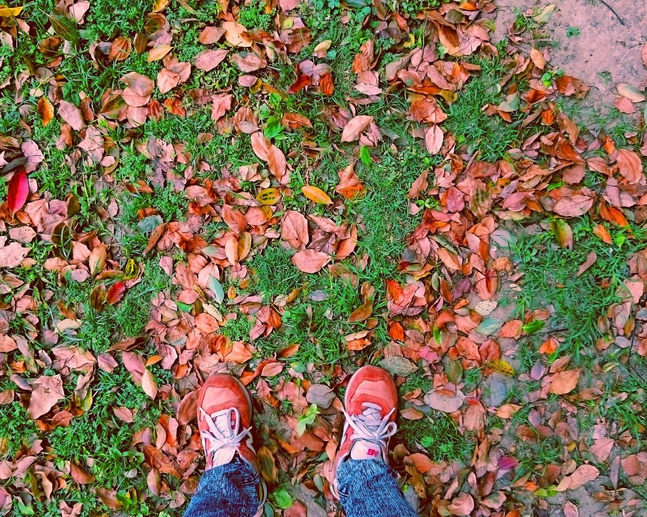 Обои листья, осень, ноги, листик, листопад, leaves, autumn, feet, leaf, falling leaves разрешение 2133x1200 Загрузить