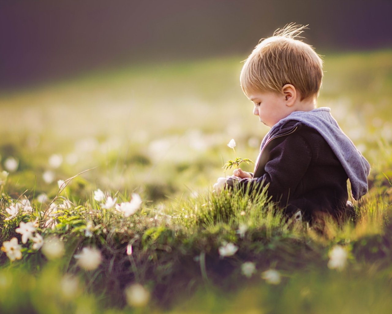 Обои цветы, трава, лето, дети, ребенок, мальчик, flowers, grass, summer, children, child, boy разрешение 1920x1280 Загрузить