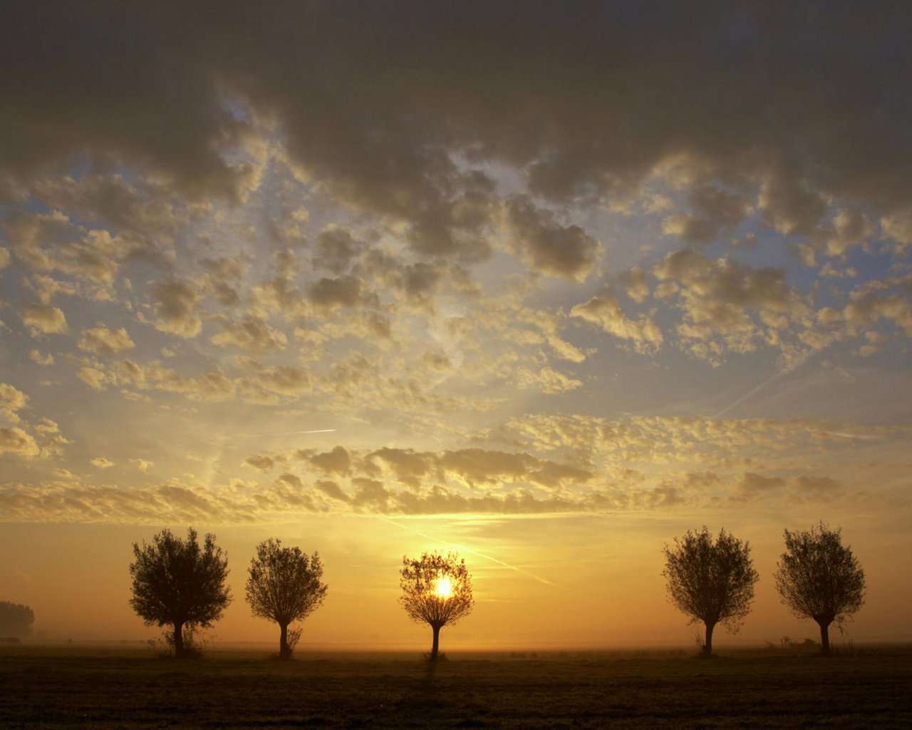 Обои небо, деревья, закат, пейзаж, поле, the sky, trees, sunset, landscape, field разрешение 1920x1200 Загрузить