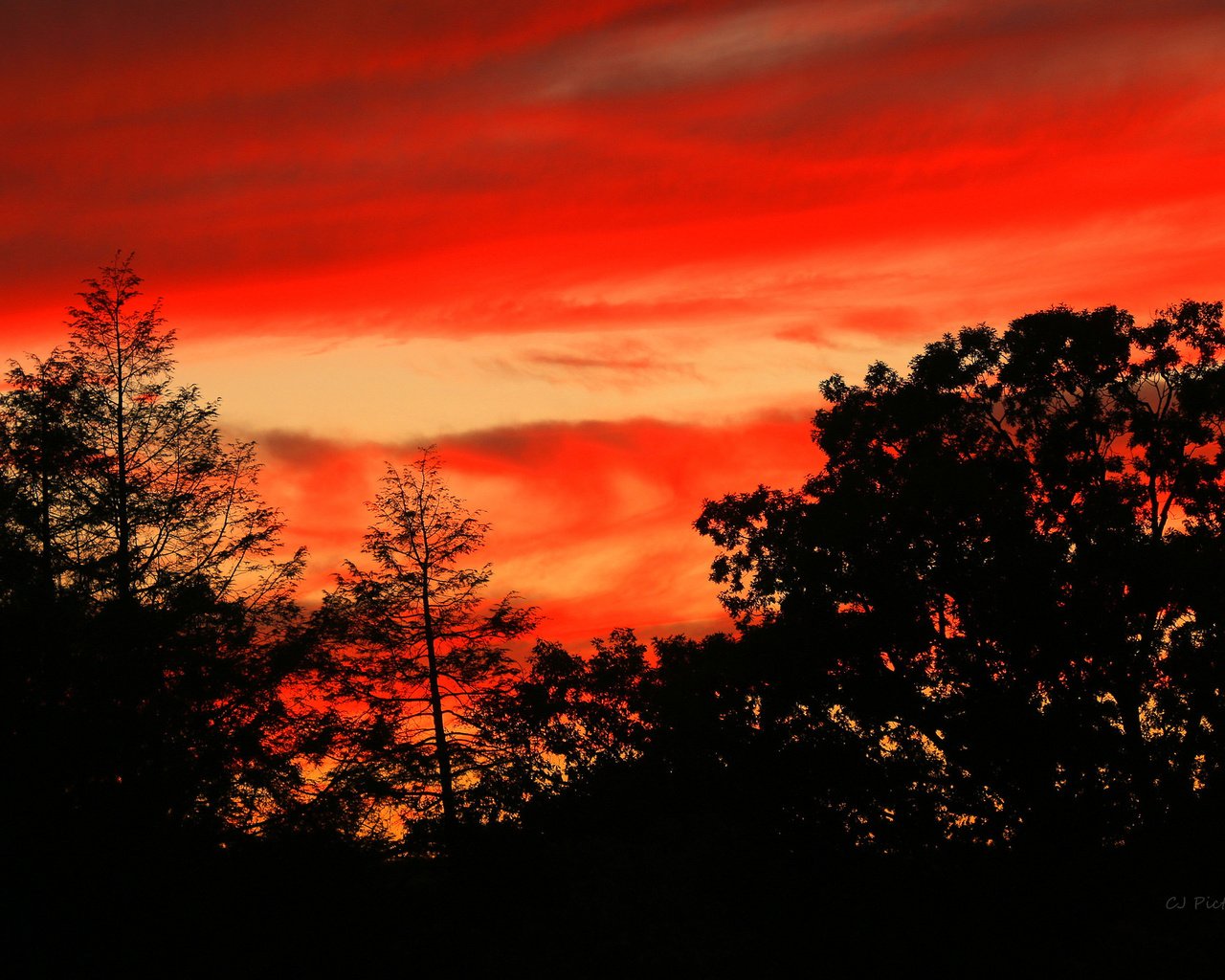 Обои небо, облака, деревья, силуэт, зарево, the sky, clouds, trees, silhouette, glow разрешение 2048x1390 Загрузить