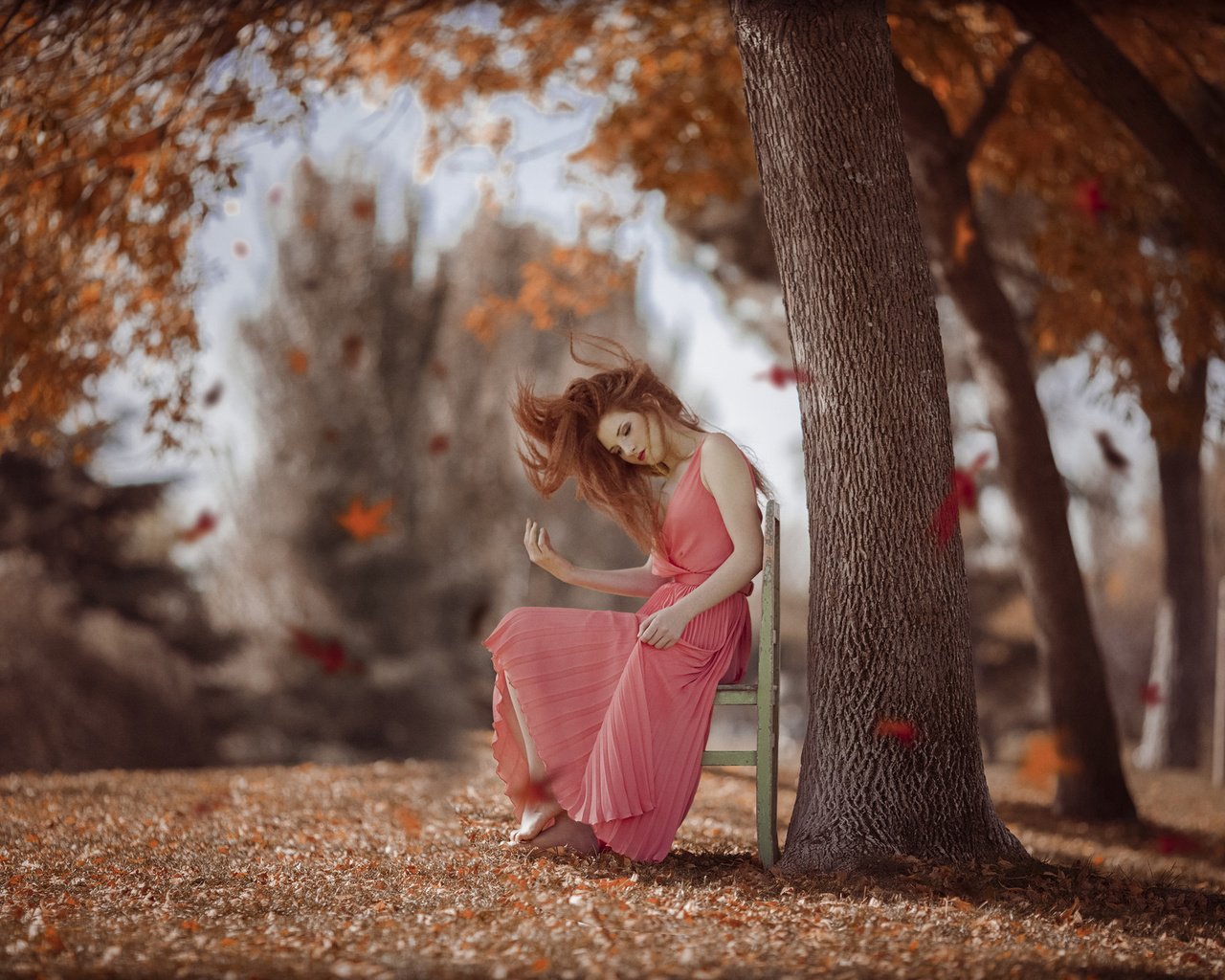 Обои деревья, листья, девушка, настроение, осень, рыжеволосая, trees, leaves, girl, mood, autumn, redhead разрешение 2048x1365 Загрузить