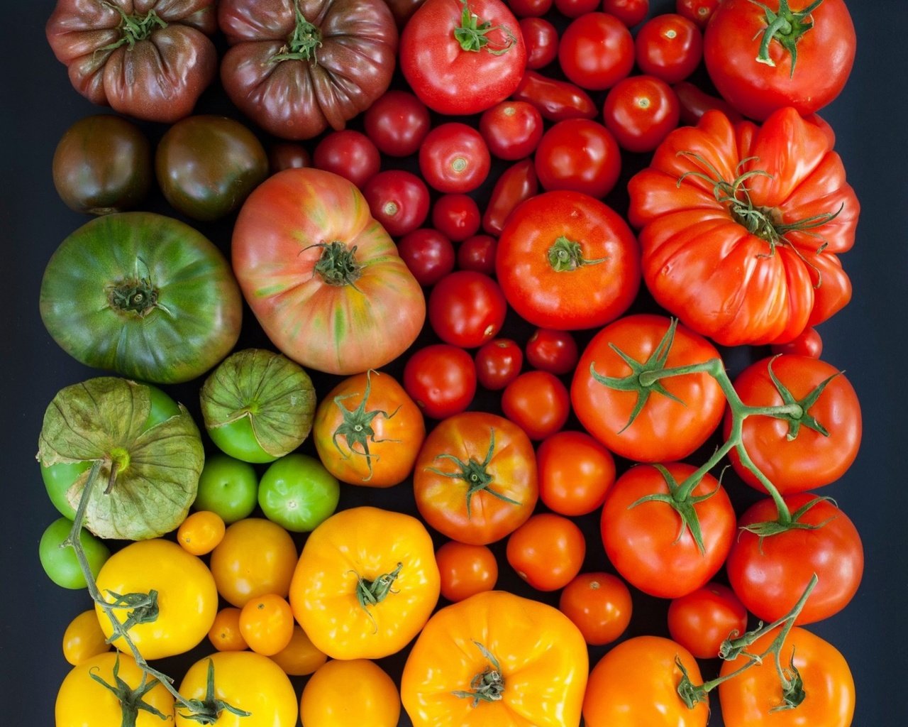 Обои разноцветные, урожай, овощи, помидоры, томаты, colorful, harvest, vegetables, tomatoes разрешение 1920x1771 Загрузить