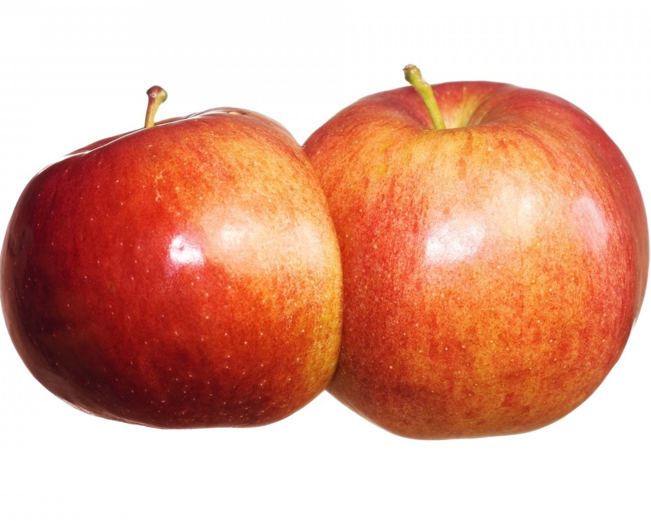 Обои фрукты, яблоки, красные, белый фон, плоды, спелые, fruit, apples, red, white background, ripe разрешение 1920x1280 Загрузить