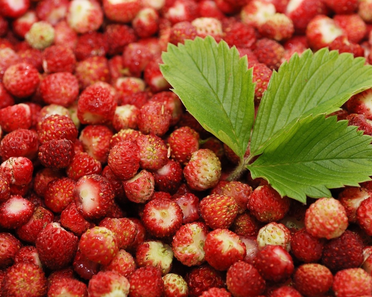 Обои фон, красная, ягоды, листик, земляника, background, red, berries, leaf, strawberries разрешение 1920x1280 Загрузить