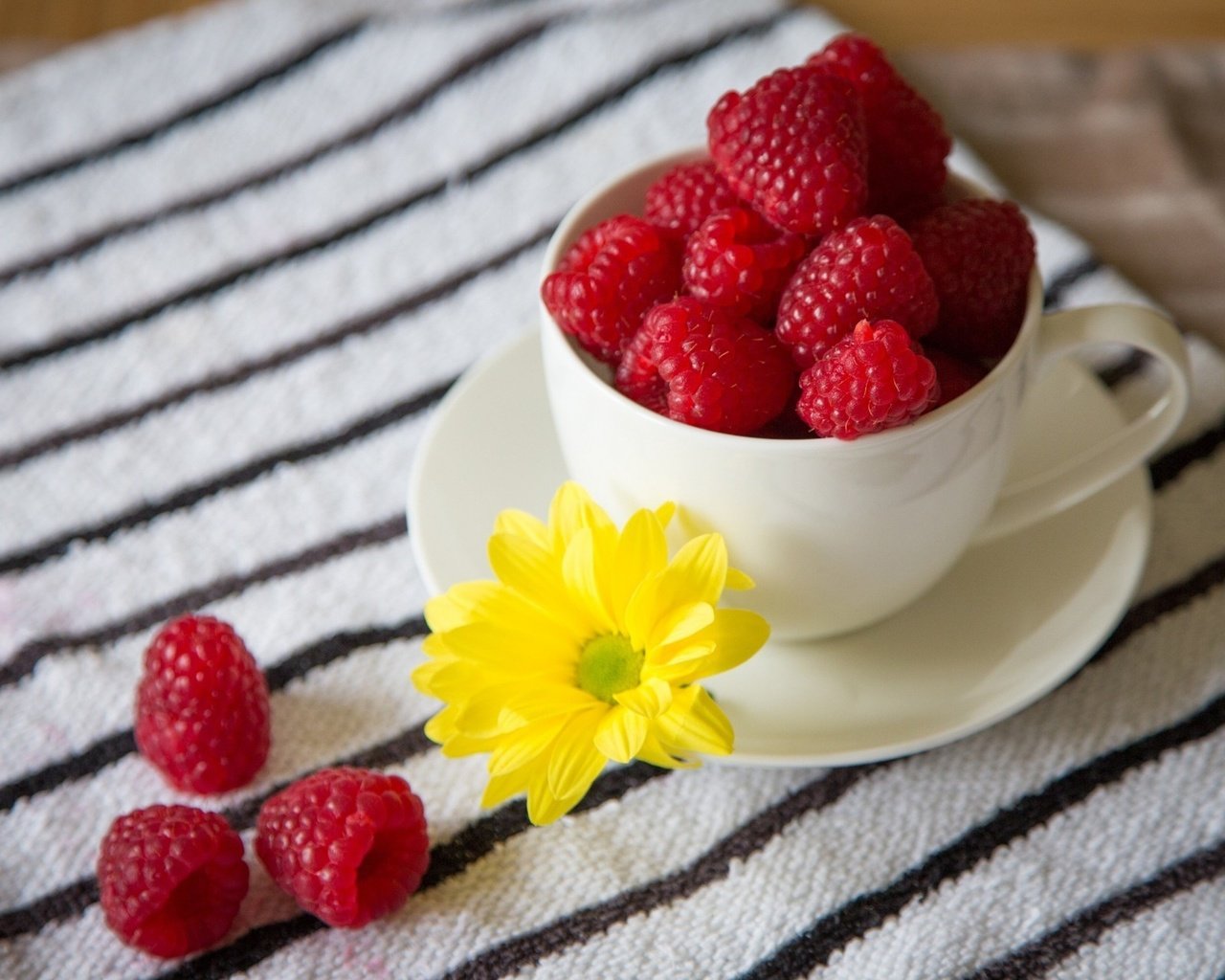 Обои цветок, малина, красная, блюдце, ягоды, чашка, flower, raspberry, red, saucer, berries, cup разрешение 1920x1280 Загрузить