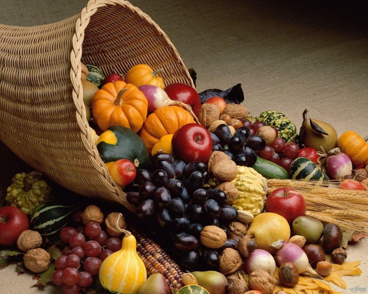 Обои орехи, тыква, виноград, груши, фрукты, грецкие, яблоки, редис, осень, урожай, овощи, рог изобилия, nuts, pumpkin, grapes, pear, fruit, walnut, apples, radishes, autumn, harvest, vegetables, cornucopia разрешение 1920x1440 Загрузить