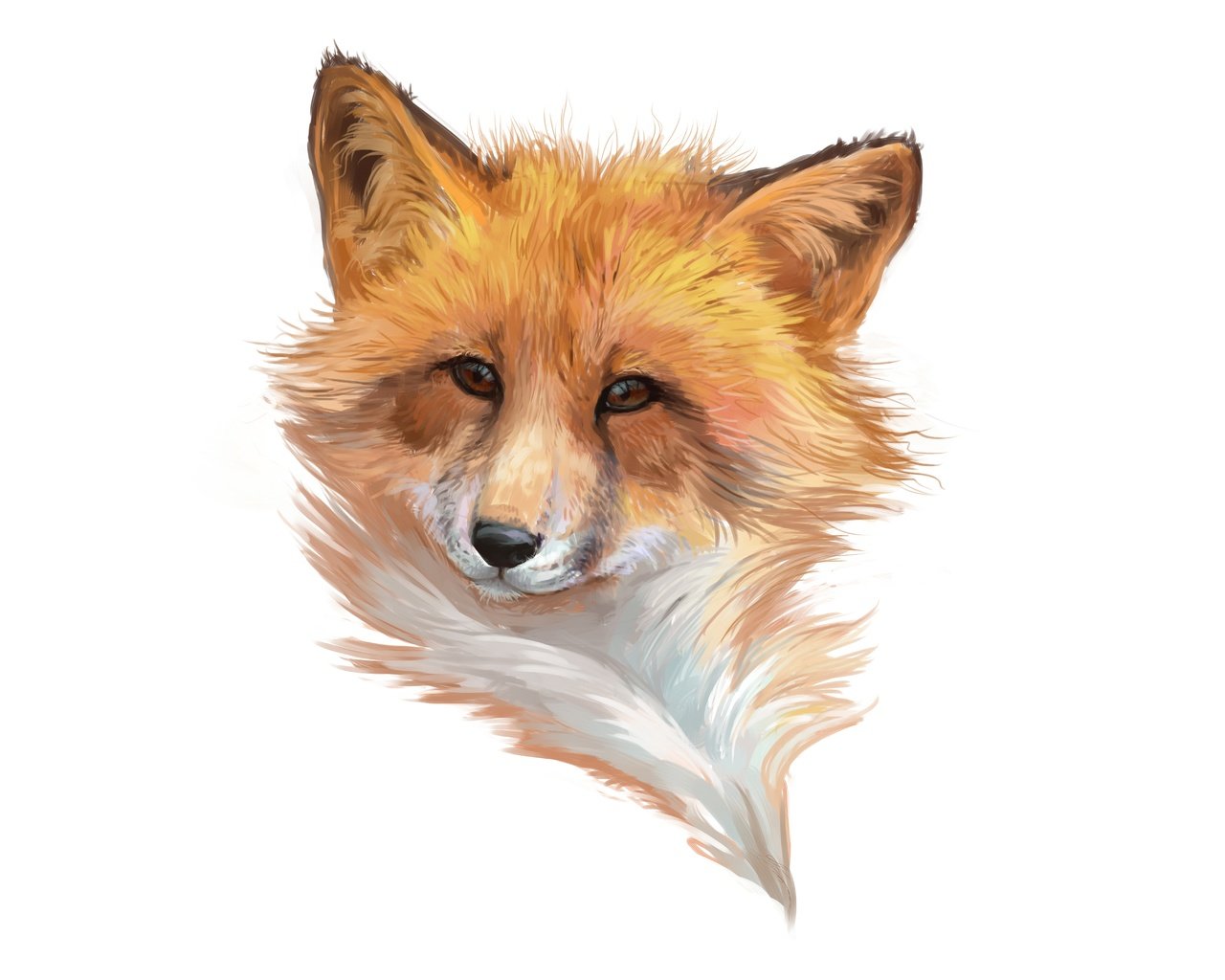 Обои морда, арт, лиса, минимализм, лисица, белый фон, лис, face, art, fox, minimalism, white background разрешение 9600x6000 Загрузить