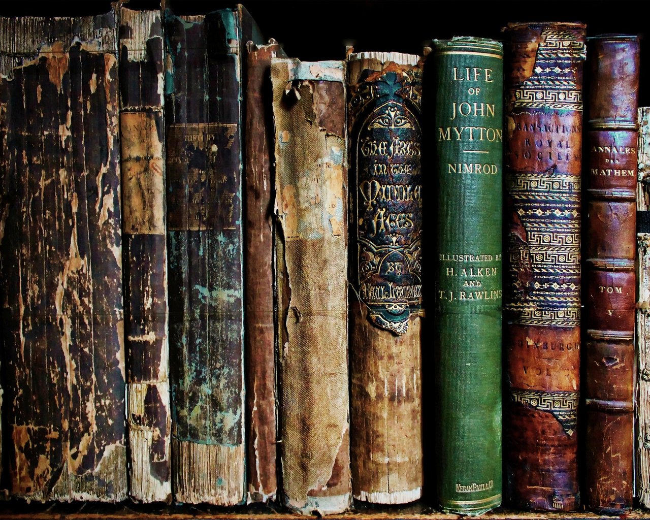 Обои книги, книга, полка, старые, потрепанные, books, book, shelf, old, worn разрешение 2048x1404 Загрузить