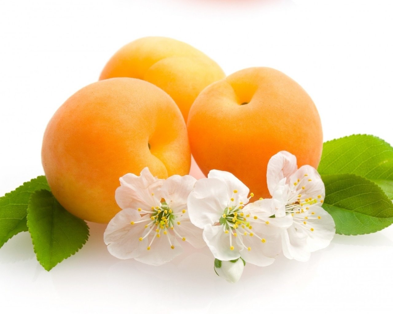 Обои цветы, фрукты, белый фон, листики, абрикосы, flowers, fruit, white background, leaves, apricots разрешение 1920x1257 Загрузить