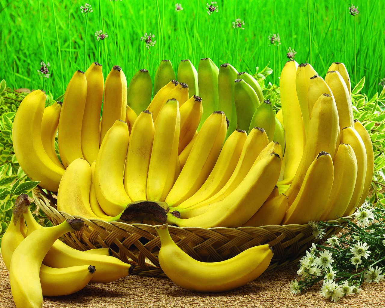 Обои фрукты, бананы, fruit, bananas разрешение 4896x3672 Загрузить