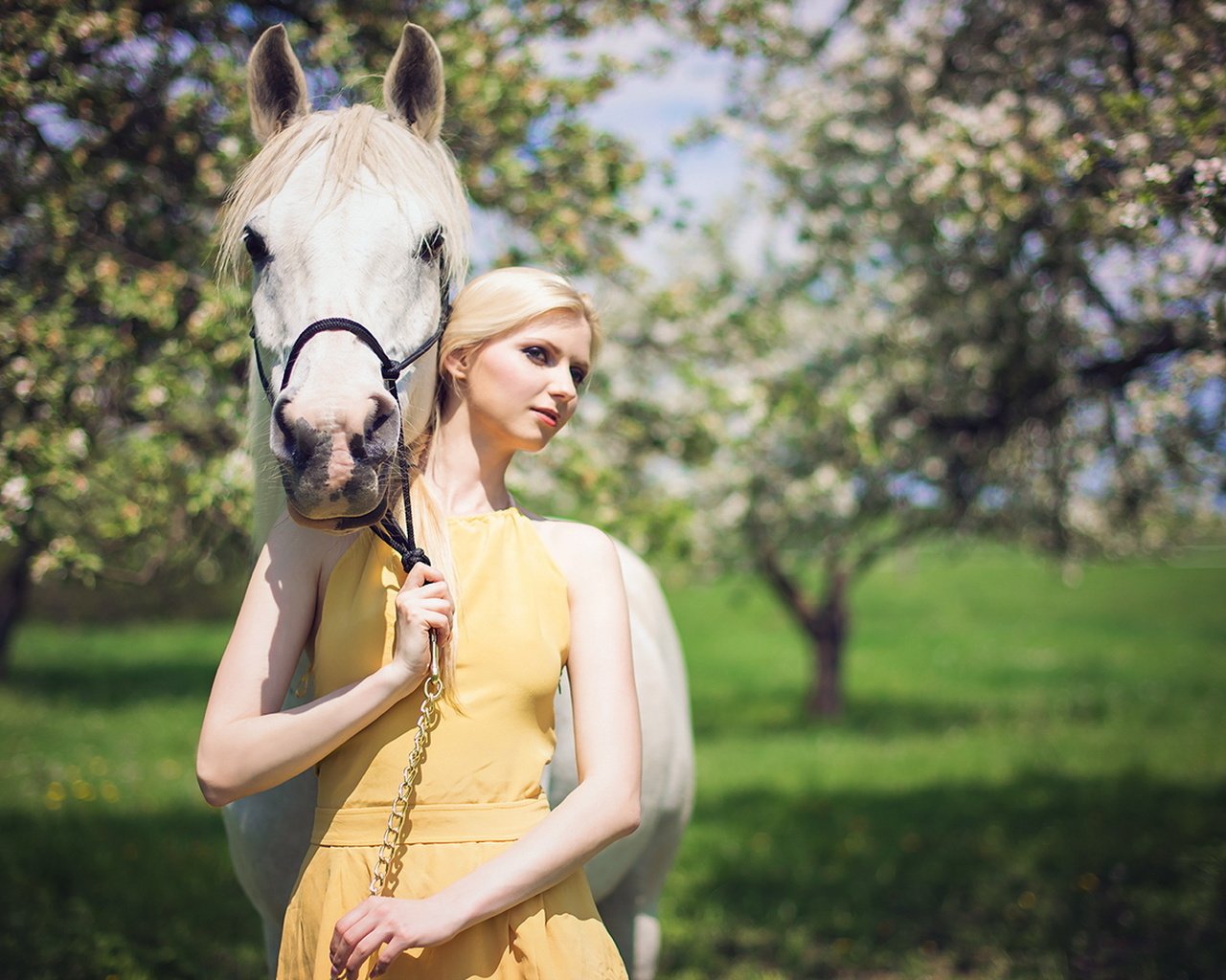 Обои лошадь, платье, блондинка, сад, horse, dress, blonde, garden разрешение 1920x1200 Загрузить