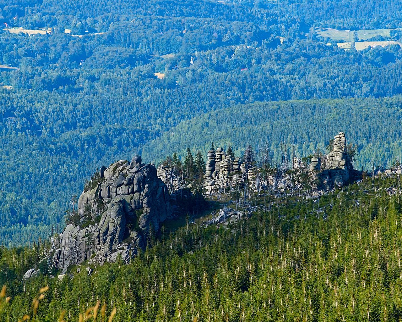 Обои деревья, скалы, природа, лес, пейзаж, trees, rocks, nature, forest, landscape разрешение 2560x1600 Загрузить