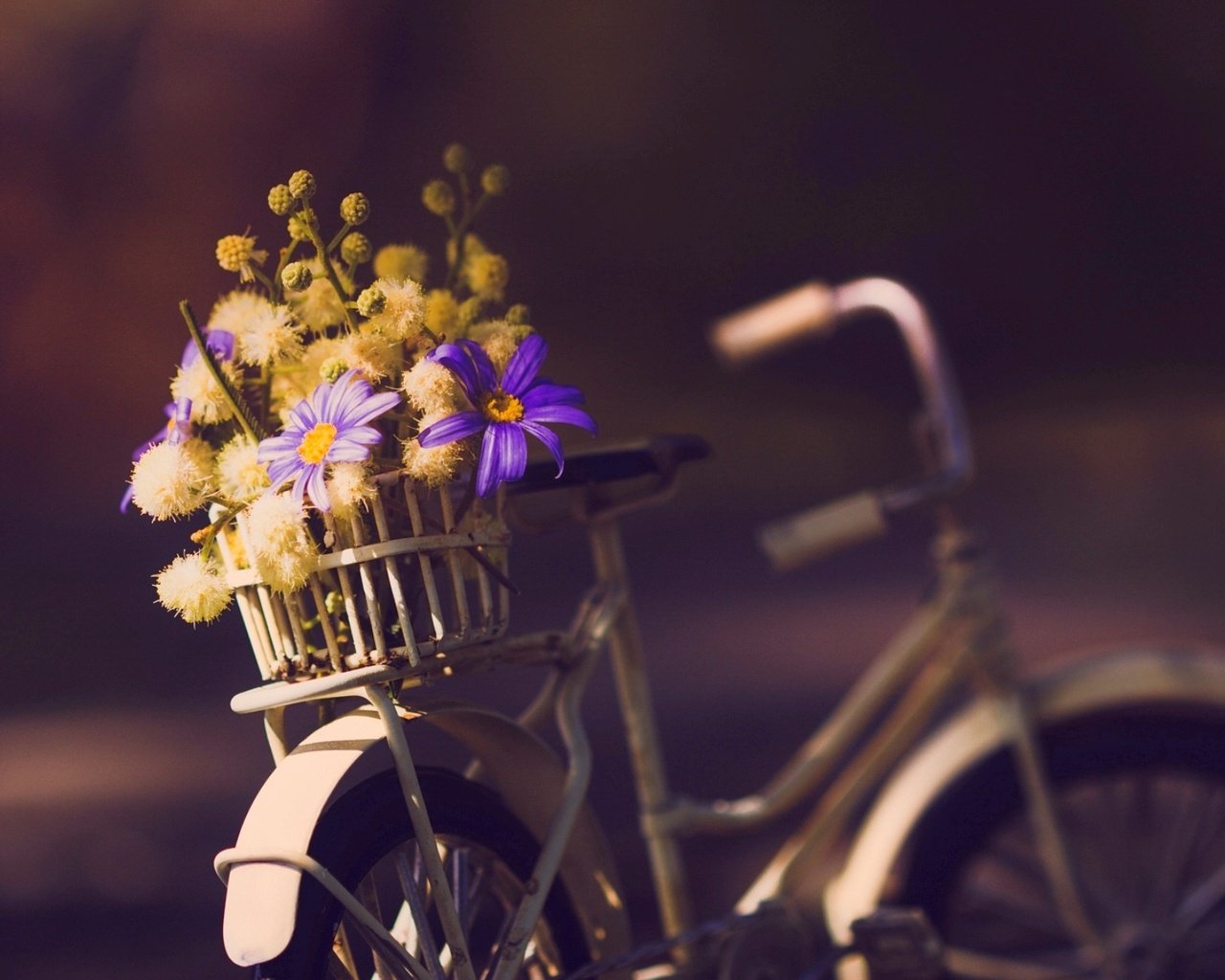 Обои цветы, фон, велосипед, flowers, background, bike разрешение 1924x1253 Загрузить