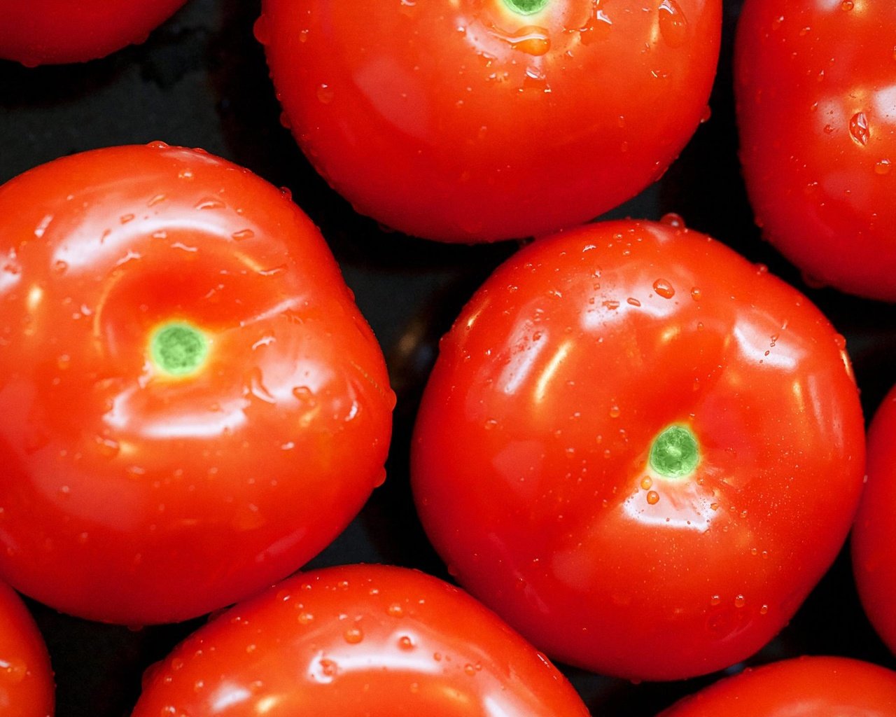 Обои капли, овощи, помидоры, томат, drops, vegetables, tomatoes, tomato разрешение 2560x1440 Загрузить