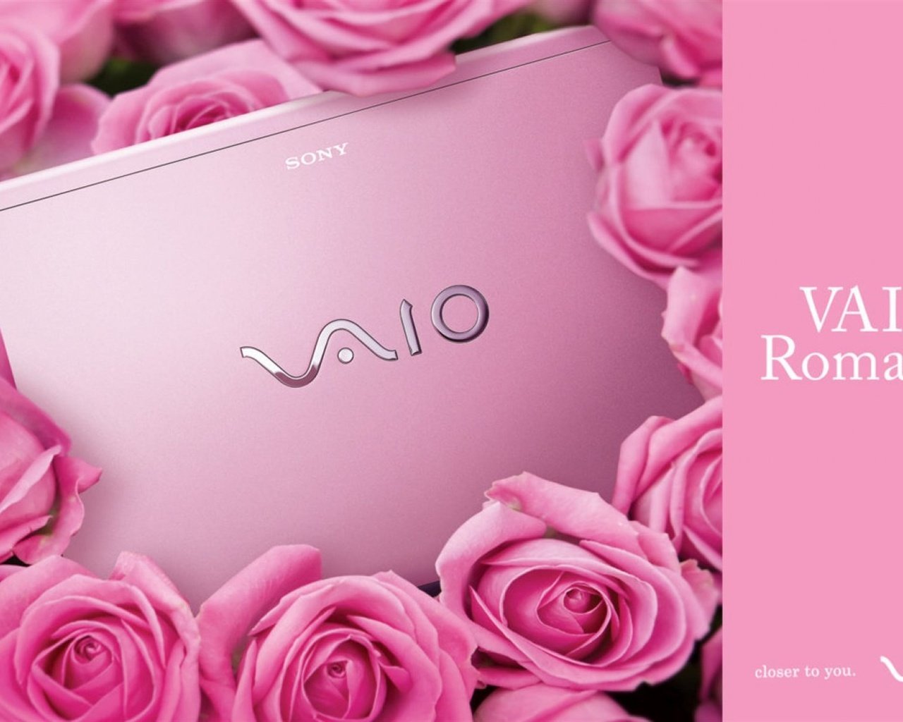 Обои цветы, розы, hi-tech, сони, vaio, калькулятор, flowers, roses, sony, calculator разрешение 1920x1200 Загрузить