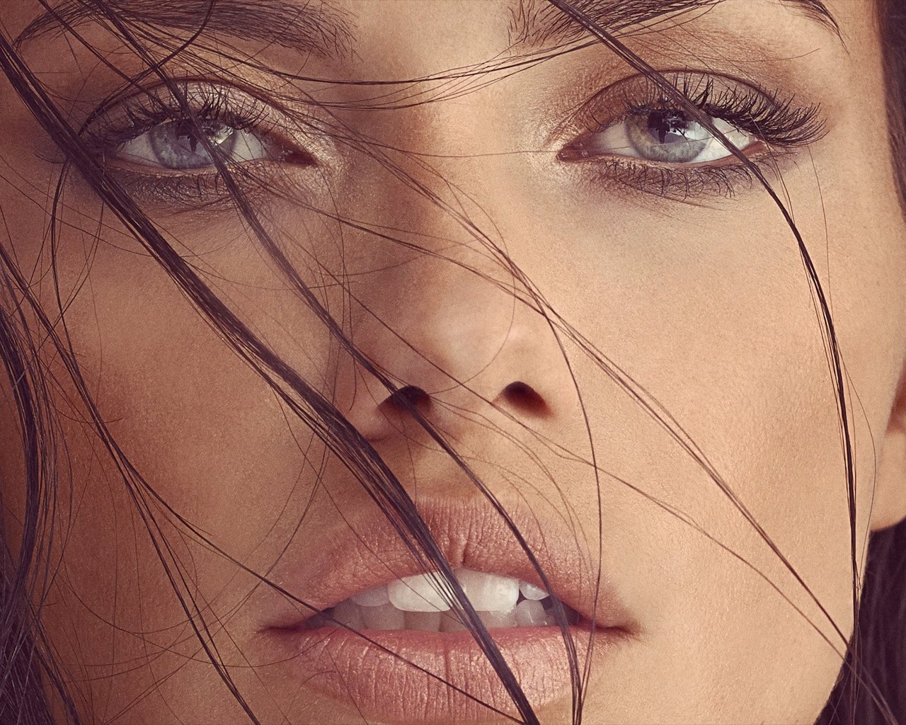 Обои девушка, портрет, модель, лицо, адриана лима, girl, portrait, model, face, adriana lima разрешение 2200x1500 Загрузить