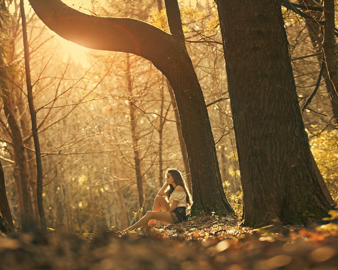 Обои свет, природа, лес, девушка, настроение, шатенка, luis valadares, bruna, bruna magalhães, light, nature, forest, girl, mood, brown hair разрешение 1920x1200 Загрузить