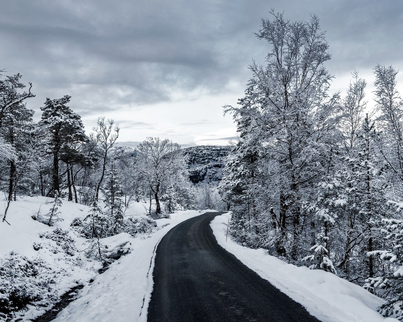 Обои небо, дорога, облака, деревья, снег, зима, чёрно-белое, the sky, road, clouds, trees, snow, winter, black and white разрешение 2880x1457 Загрузить