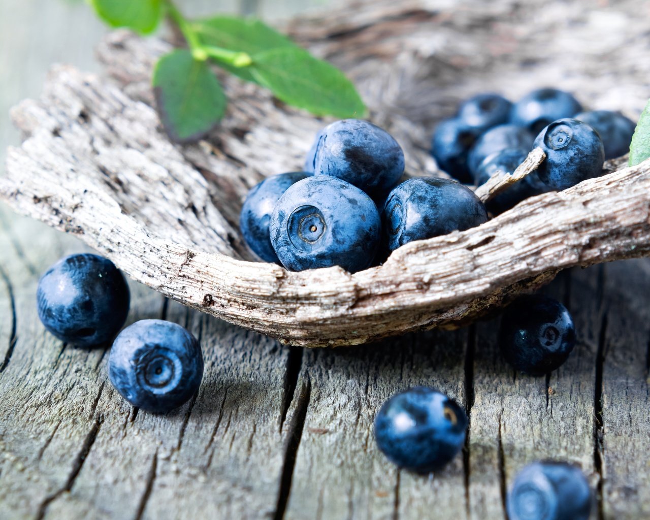 Обои ягоды, лесные ягоды, черника, дерева, голубика, парное, черничный, berries, blueberries, wood, fresh, blueberry разрешение 3456x3170 Загрузить