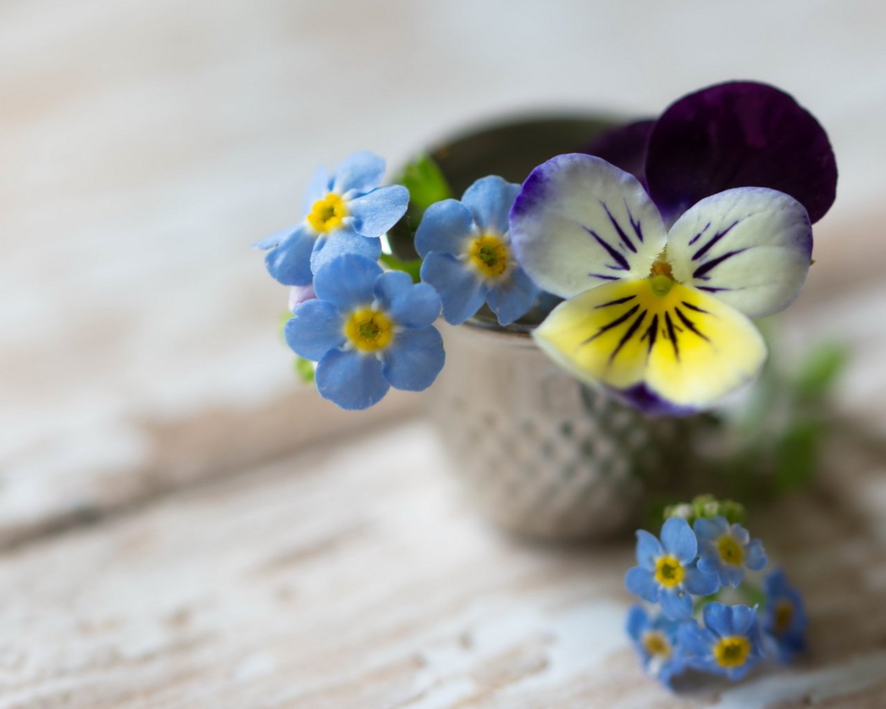 Обои цветы, фон, букет, незабудки, анютины глазки, flowers, background, bouquet, forget-me-nots, pansy разрешение 2560x1600 Загрузить