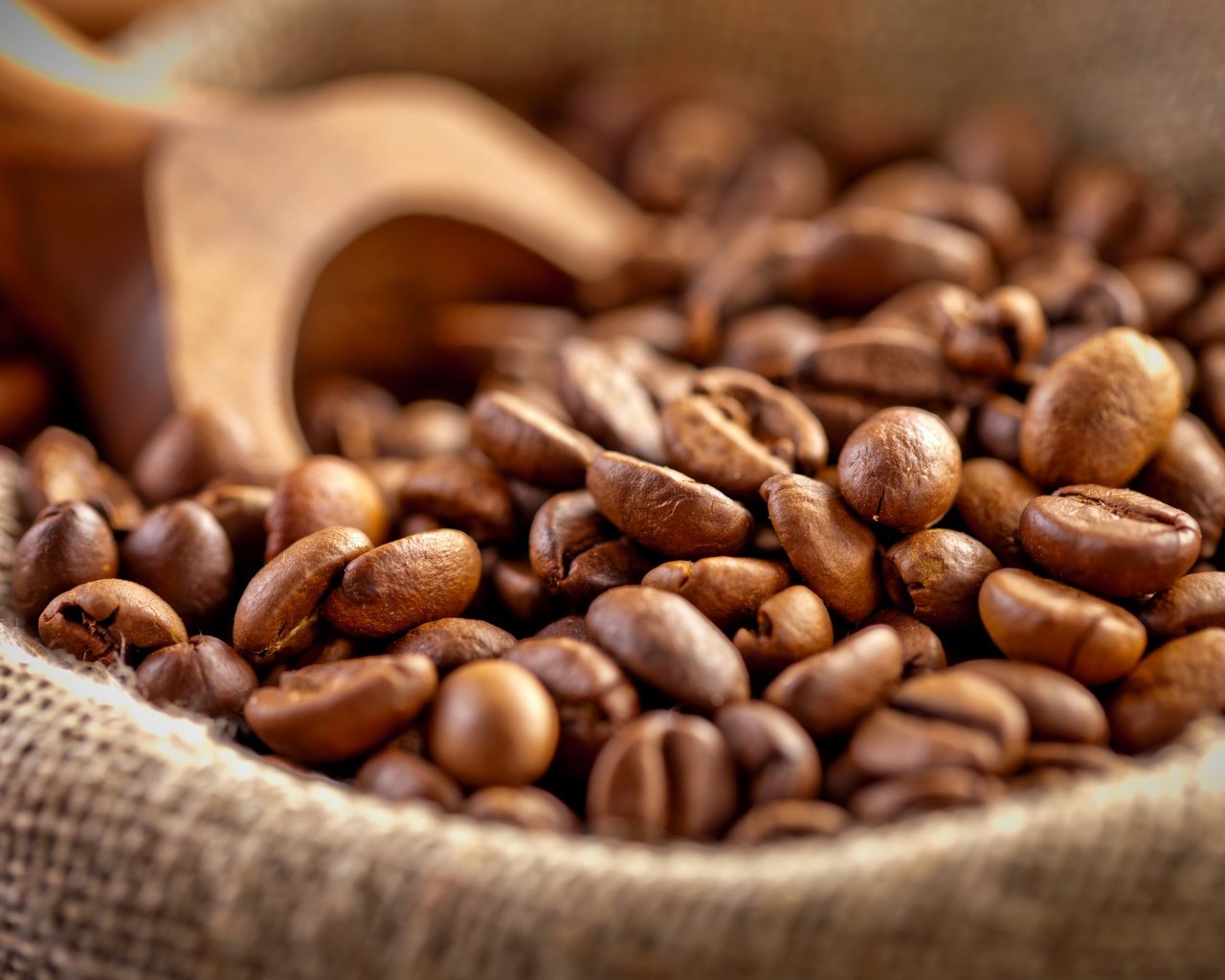 Обои зерна, кофе, мешок, кофейные зерна, лопатка, grain, coffee, bag, coffee beans, blade разрешение 2880x1920 Загрузить