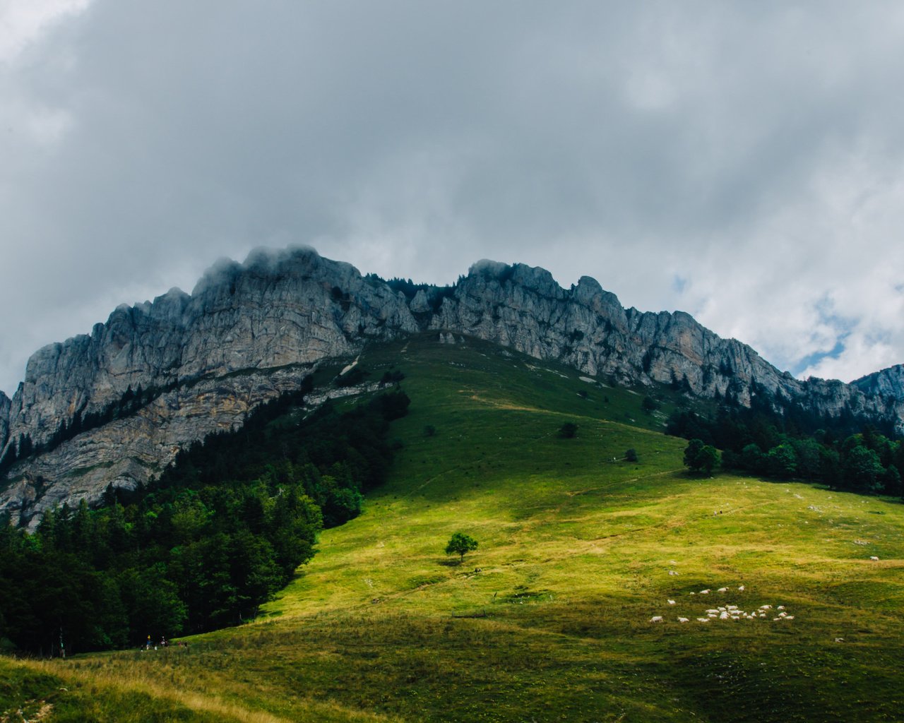 Обои деревья, горы, холмы, природа, trees, mountains, hills, nature разрешение 2048x1362 Загрузить