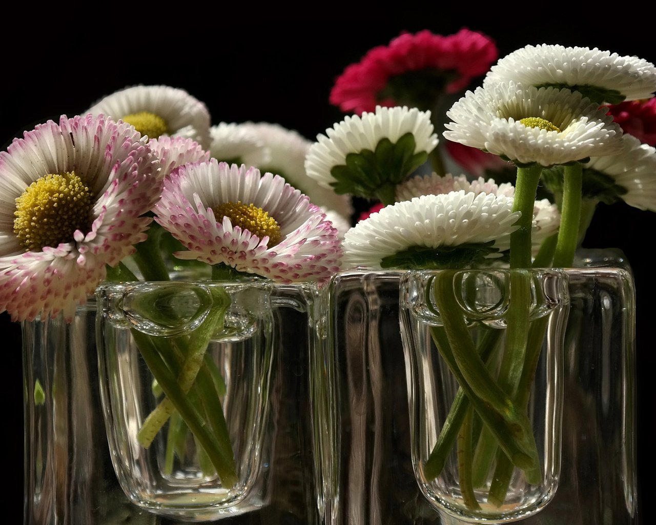 Обои цветы, фон, лепестки, стекло, стакан, flowers, background, petals, glass разрешение 1920x1080 Загрузить