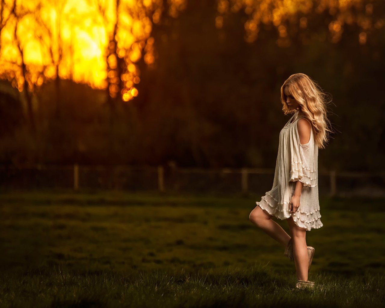 Обои небо, трава, природа, закат, девушка, блондинка, поле, the sky, grass, nature, sunset, girl, blonde, field разрешение 2048x1365 Загрузить