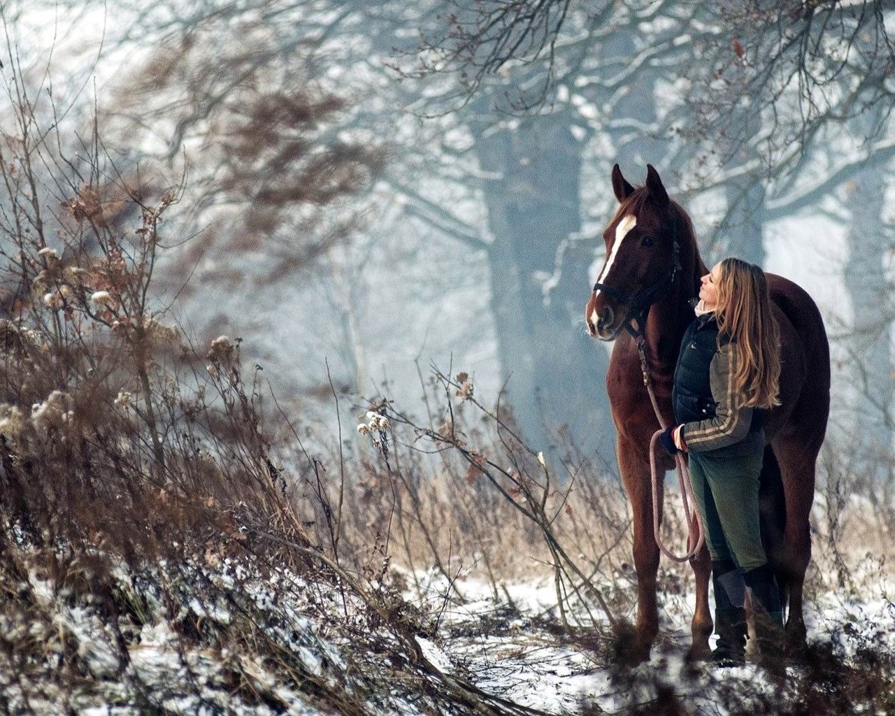 Обои лошадь, деревья, снег, лес, девушка, конь, наездница, horse, trees, snow, forest, girl, rider разрешение 1920x1080 Загрузить