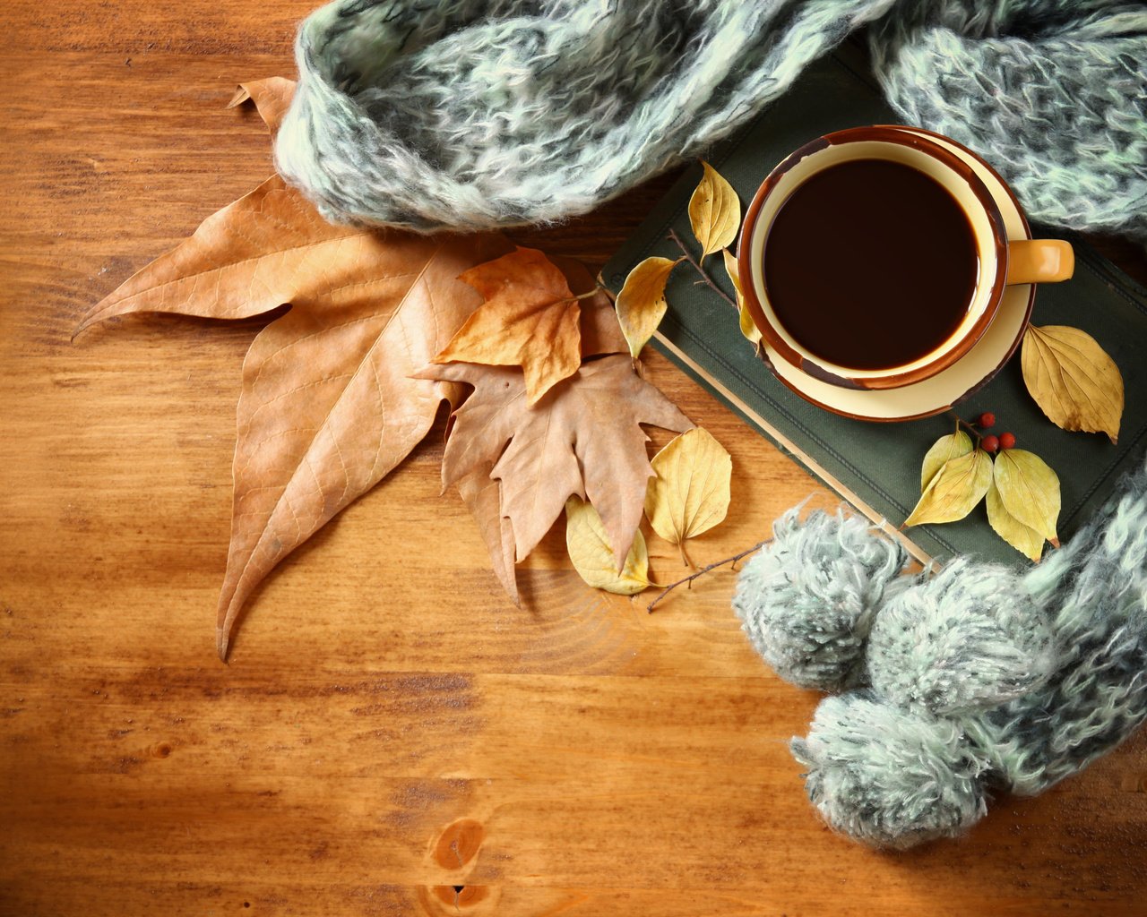 Обои листья, осень, кофе, чашка, шарф, leaves, autumn, coffee, cup, scarf разрешение 4644x3096 Загрузить