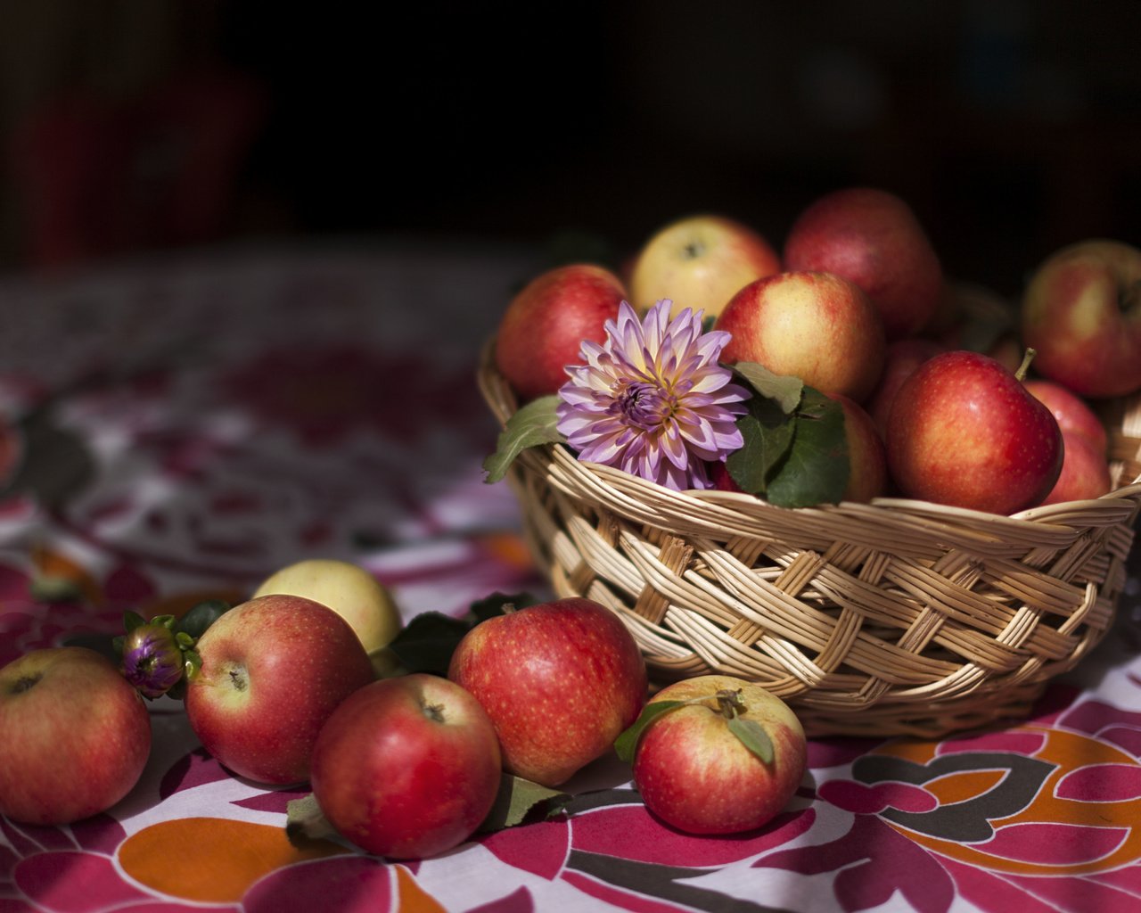 Обои еда, фрукты, яблоки, food, fruit, apples разрешение 5616x3744 Загрузить