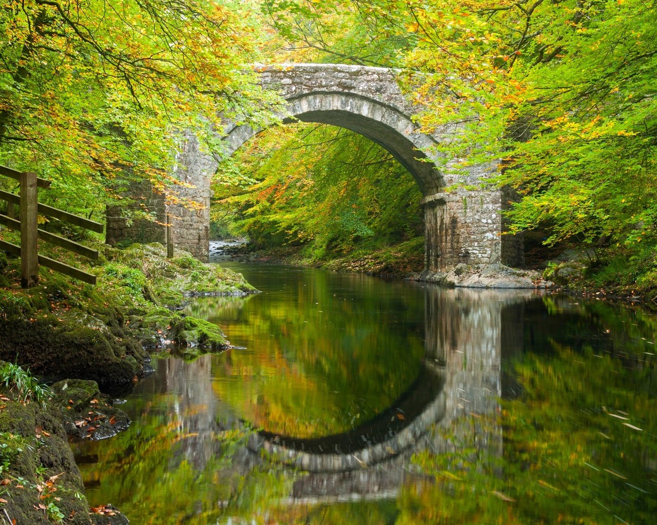 Обои деревья, holne bridge, river dart, река, холн-бридж, лес, река дарт, отражение, дартмур, мост, девон, осень, англия, арка, trees, river, holn bridge, forest, the river dart, reflection, dartmoor, bridge, devon, autumn, england, arch разрешение 2880x1856 Загрузить