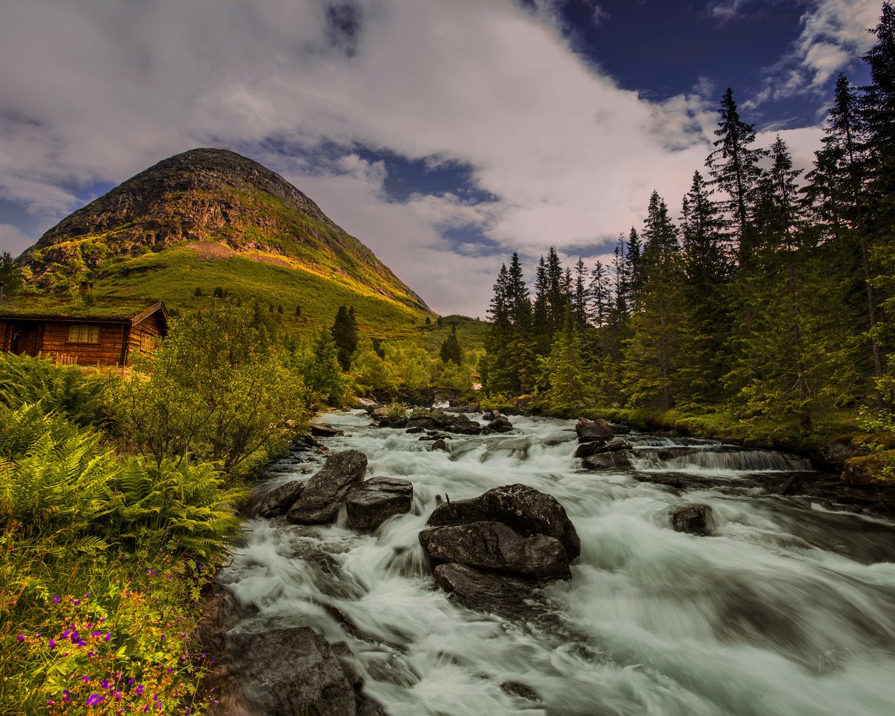 Обои деревья, река, холм, норвегия, хижина, норвегии, trees, river, hill, norway, hut разрешение 2048x1367 Загрузить