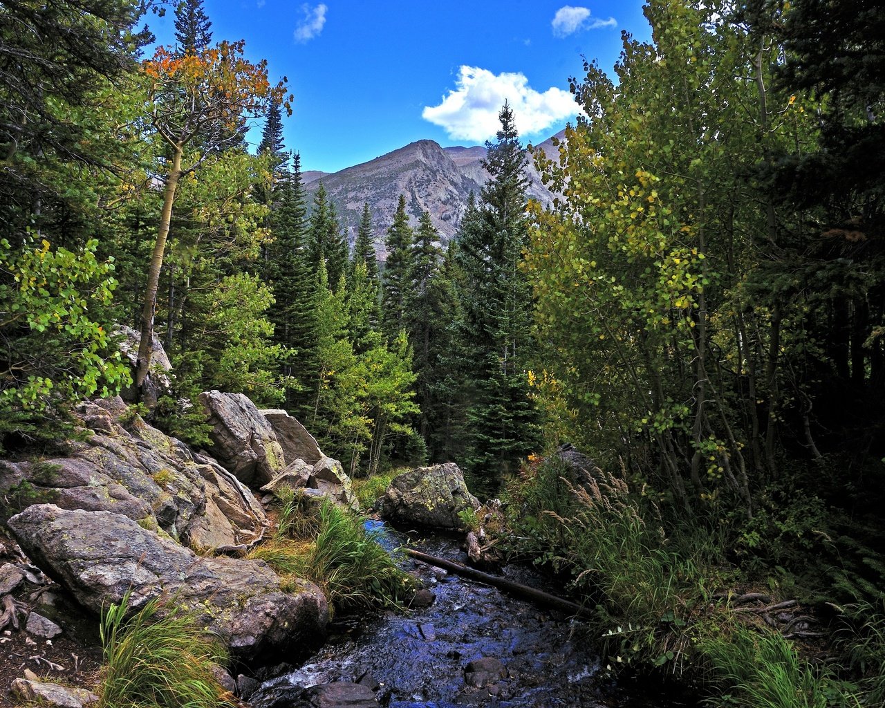 Обои деревья, река, горы, скалы, лес, пейзаж, осень, rocky mountain national park, trees, river, mountains, rocks, forest, landscape, autumn разрешение 2880x1908 Загрузить