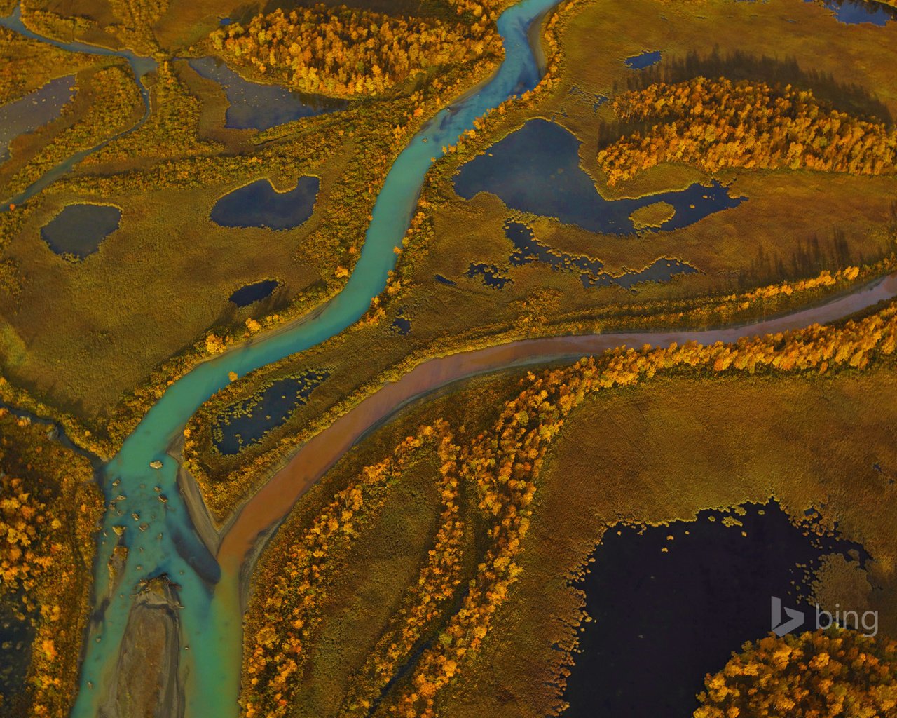 Обои деревья, река, панорама, краски, осень, швеция, sarek national park, trees, river, panorama, paint, autumn, sweden разрешение 1920x1200 Загрузить