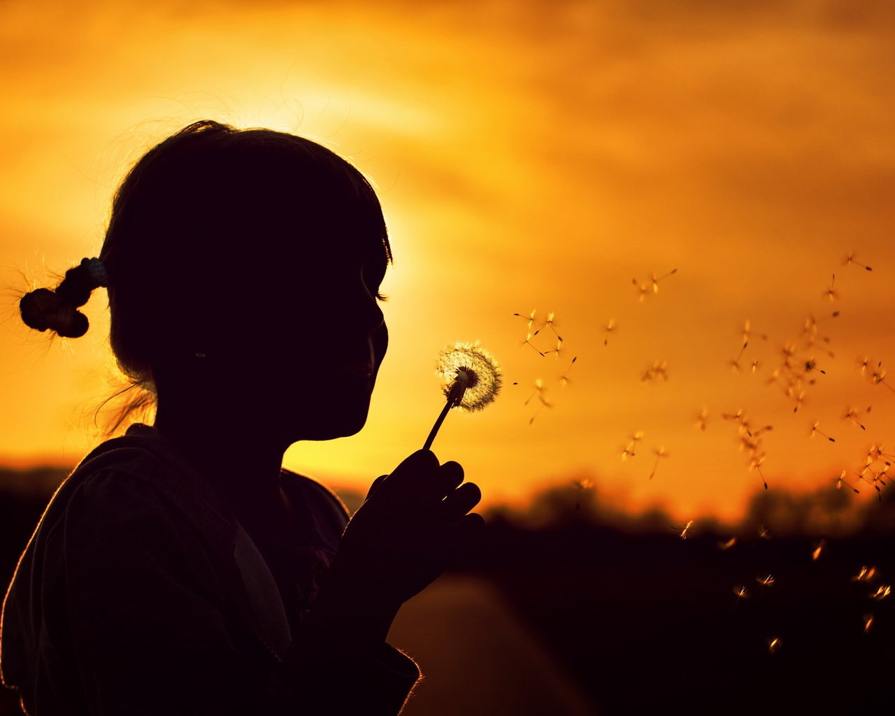 Обои природа, закат, девочка, силуэт, одуванчик, детство, nature, sunset, girl, silhouette, dandelion, childhood разрешение 2560x1600 Загрузить