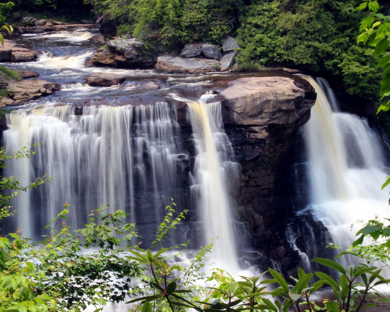 Обои камни, the park is blackwater fall, зелень, листья, ручей, ветки, водопад, сша, blackwater falls state park, парк блэкуотер-фолс, the park is blackwater falls, stones, greens, leaves, stream, branches, waterfall, usa разрешение 2160x1440 Загрузить